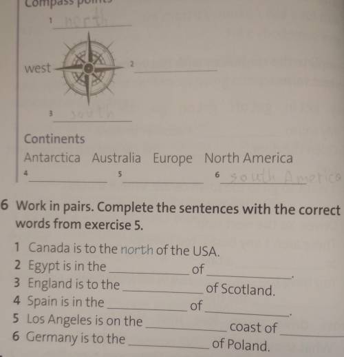 Work in pairs.Complete the sentences with the correct words from exercise 5 (ex6)