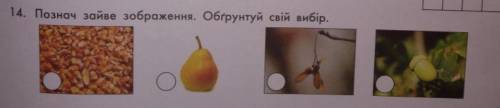 14. Познач зайве зображення. Обґрунтуй свій вибір.