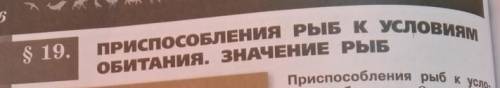 конспект на тему ПРИ РЫБ К УСЛОВИЯМ ОБИТАНИЯ. ЗНАЧЕНИЕ РЫБ