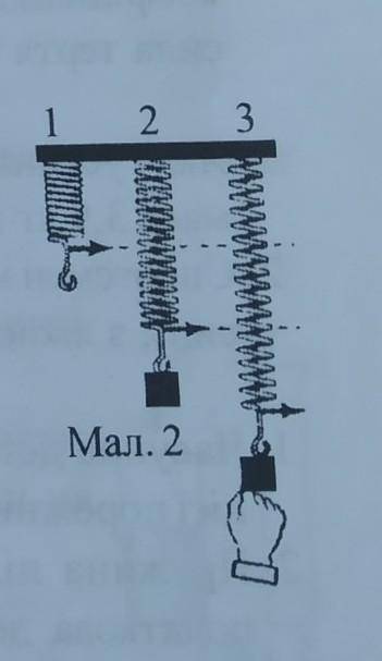 Пружина (1), до якої підвісили тягарець, розтягнулася і перебуває в стані спокою (2), як показано на