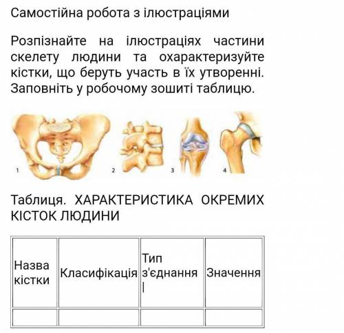 Самостійна робота з ілюстраціями ризуйте кістки, що беруть участь в їх утворенні. Заповніть у робочо