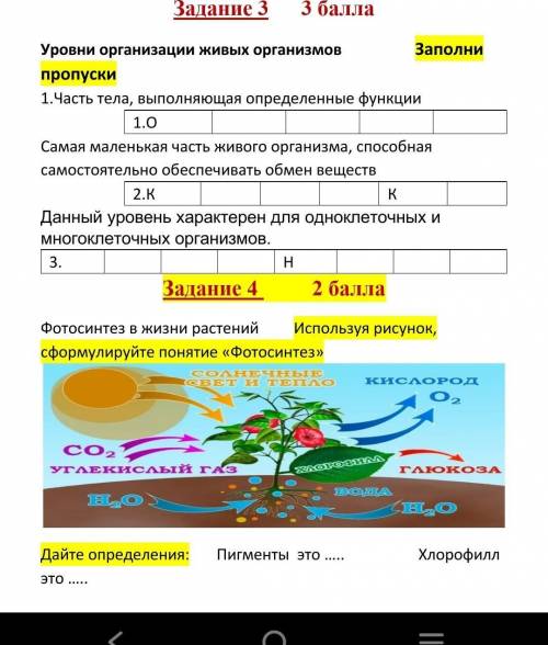 Данный уровень характерен для одноклеточных и многоклеточных организмов. 3. Н