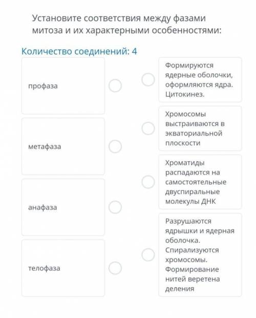 Установите соответствия между фазами митоза и их характерными особенностями: