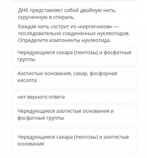 ДНК представляет собой двойную нить, скрученную в спираль. Каждая нить состоит из «кирпичиков» — пос