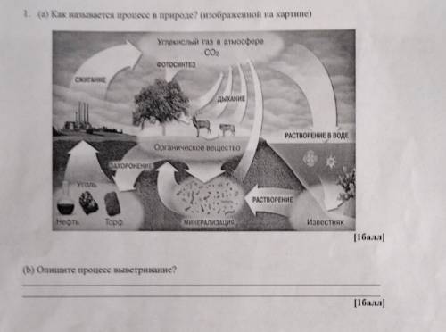 2-вариант 1. (а) Как называется процесс в природе? (изображенной на картине) Углекислый газ в атмосф