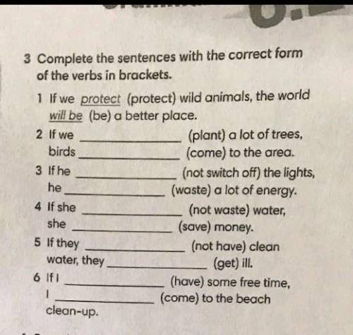 3 Complete the sentences with the correct form of the verbs in brackets. 1 If we protect (protect) w