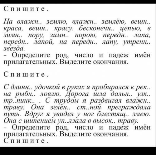 Определите род, число и падеж имён прилагательных.Выделите окончания