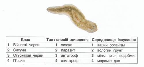 Укажи систематичне положення та особливості зображеної тварини.