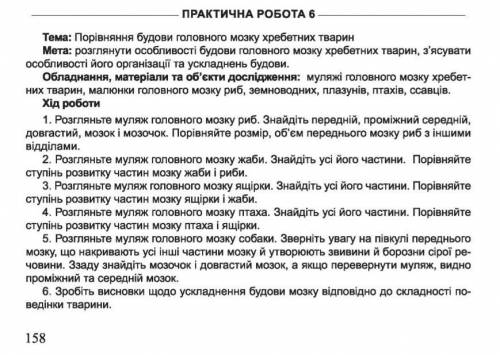 Практическая работа до 12:00 нужно