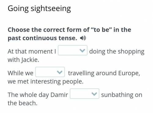 НУЖНО ПОТОМ УЖЕ НЕ НАДО ДАЮ 20Choose the correct form of to be in the past continuous tense