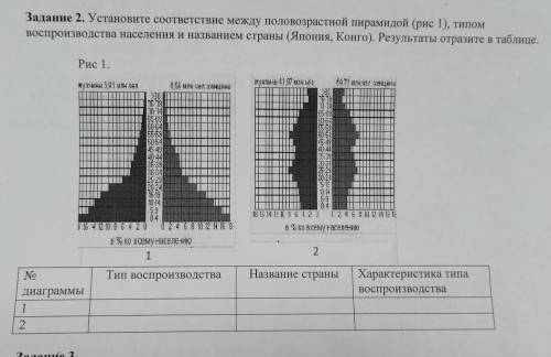 Задание 2. Установите соответствие между половозрастной пирамидой