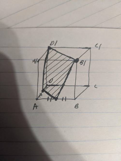 Найти площадь сечения куба, проходящие через точку b1 и середину ad и ab Сечение я нашел, это трапец