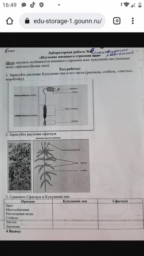 Сделайте лабораторная работа тема:мхи.