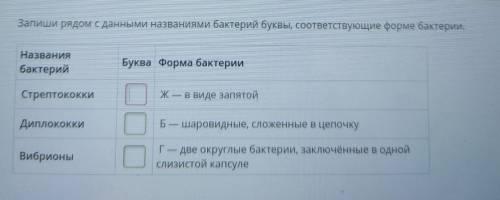 Запиши рядом с данными названиями бактерий буквы, соответствующие форме бактерии. Названия бактерий 