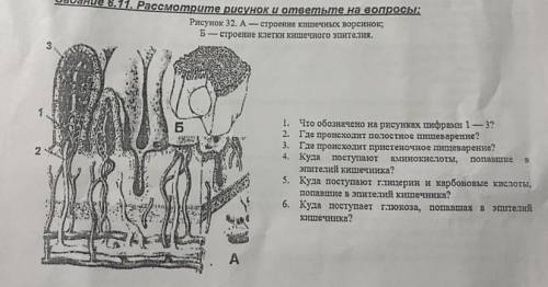 Дайте ответ главное на вопросы 2-6 но можно и на