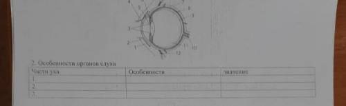 . Заполнить таблицу. Сор по биологии Тема координация и регуляция.