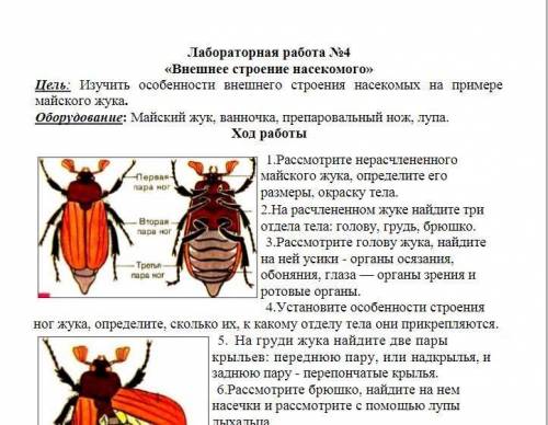 лабораторная работа ! Все свои