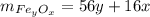 m_{Fe_yO_x}=56y+16x