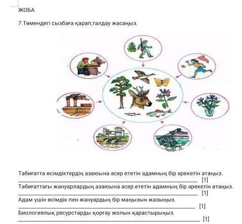 География казахский 8 класс соч