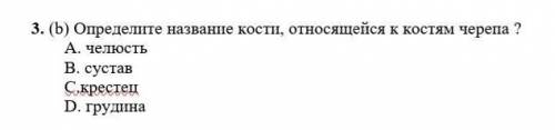 3. (b) Определите название кости, относящейся к костям черепа ? А. челюсть В. сустав С.крестец D. гр