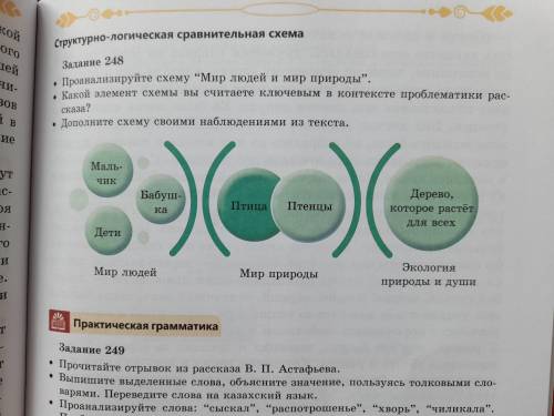 •Проанализируйте схему Мир людей и мир природы •Какой элемент схемы вы считаете ключевым в контекс