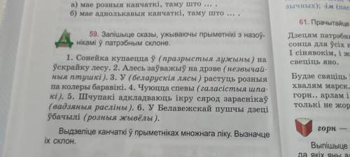 Запишите сказы ужываючы прыметники з назоуниками у патрэбным склоне