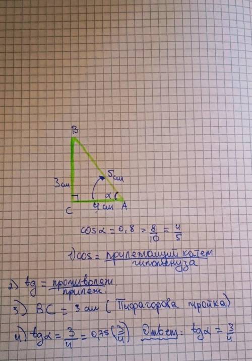 Знайдіть тангенс гострого кута а, якщо cos a =0,8.