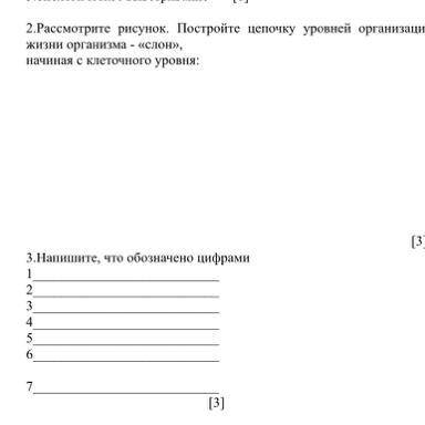 Рассмотрите рисунок. Постройте цепочку уровней организации жизни организма - «слон», начиная с клето