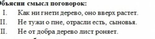 Объясните поговоркиБиология 6 класс