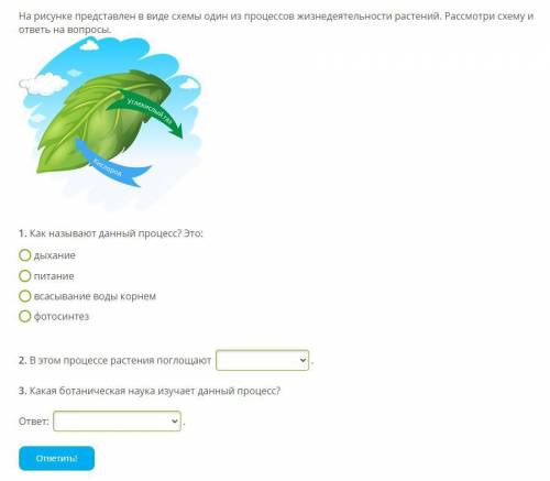 1) Как называется данный процесс? это: 1. дыхание2. питание3. всасывание воды корнем4. фотосинтез2) 