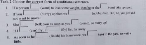 Choose the correct form of conditional sentences