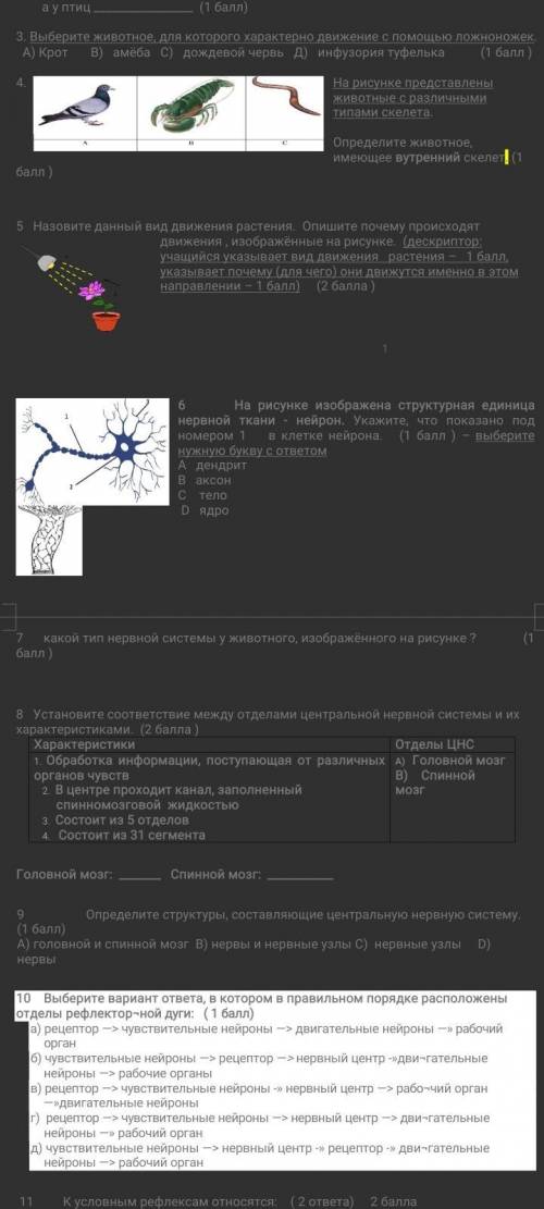 7 какой тип нервной системы у животного, изображённого на рисунке ? ( )