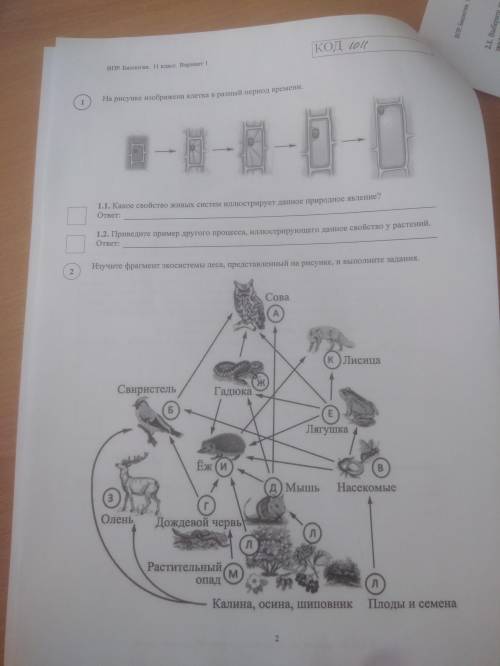 =) впр по биологии 11 класс 2022