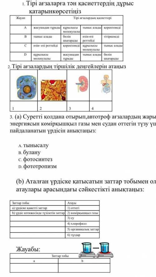 Тири агзаларга канкасиеттердин дурыс катарын корсетиниз надо сделать все !