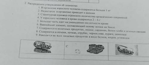 1. в организме взрослого человека содержится больше 1 кг 2. недостаток в организме приводит к анемии