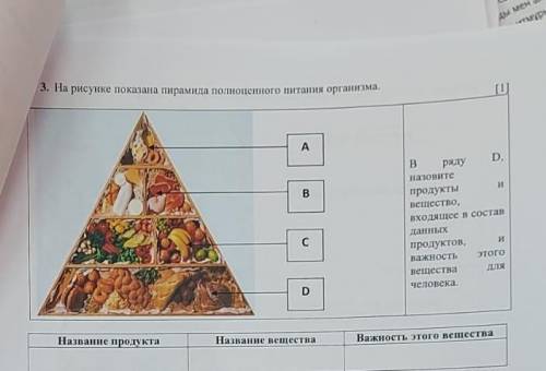 рисунке показана пирамида полноценного питания организма продуктов Назовите два продукты вещества на