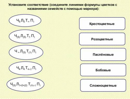 Решите по биологии задание