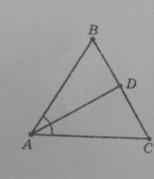 В треугольнике ABC ПРОВЕДЕНА биссектриса AD так, что BD:DC = 1:2. Найдите длину AB, если AC = 10см