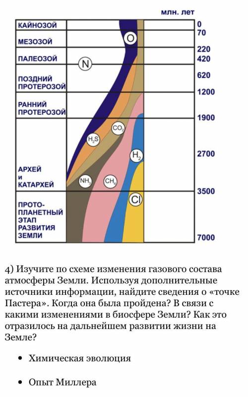 ответьте на все вопросы ниже