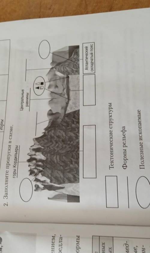 2. Заполните пропуски в схеме. горы Кордильеры Центральные равнины Атлантический складчатый пояс Тек