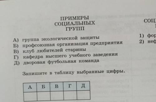 Установите соответствие между видами социальных групп и конкретными их примерами: к каждому элементу