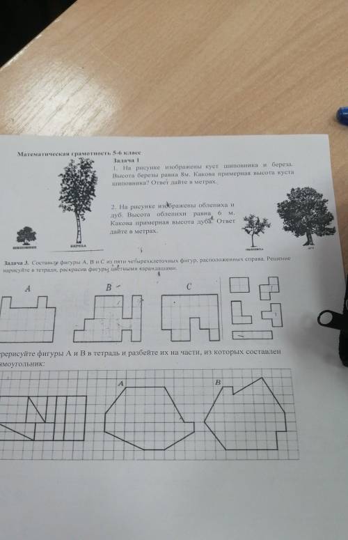 , функциональная грамотность 6 класс