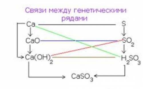 Составить цепочку генетических связей