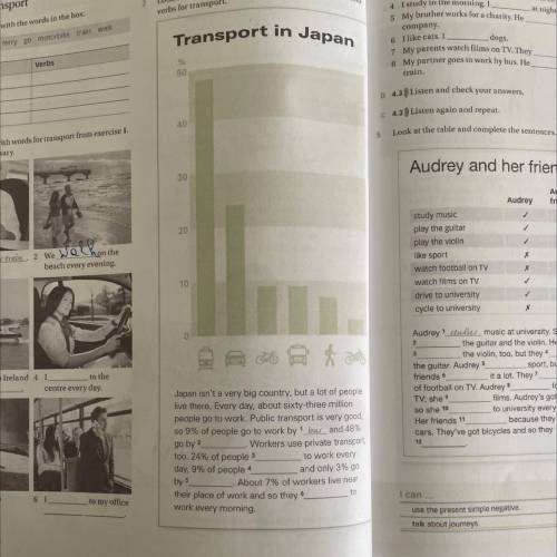 Look at graph and complete the text with nouns and verbs for transport