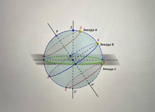 На рисунке показано положение небесной сферы для наблюдателя, находящегося в северном полушарии. В т