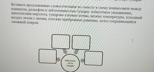 Причины заболоченности тундры