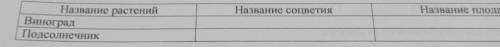 Определите и напишите какое соцветия и какой плод у предложенных растений