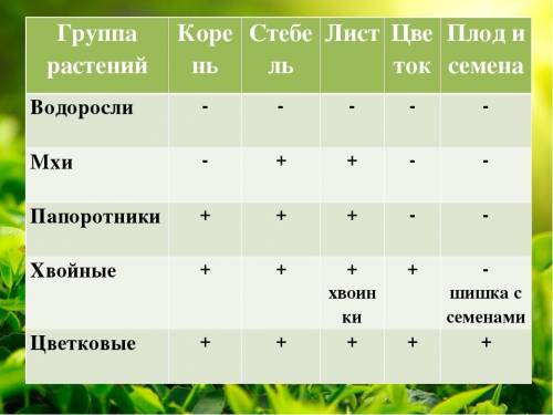 Різниця між водорослями і покрито насінних іть