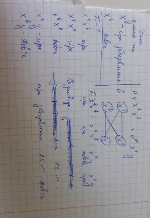 Розв'яжіть задачу на схрещування, зчеплене зі статтю. У дрозофіл ген В, який визначає колір тіла, ро