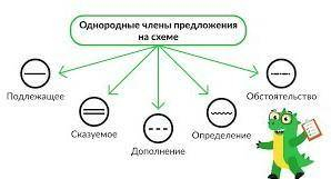 3. Как однородные члены мы изображаем схематически?